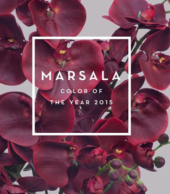 Vibrant Marsala-colored orchids highlighting floral beauty, elegance, and trendy wedding decor themes.