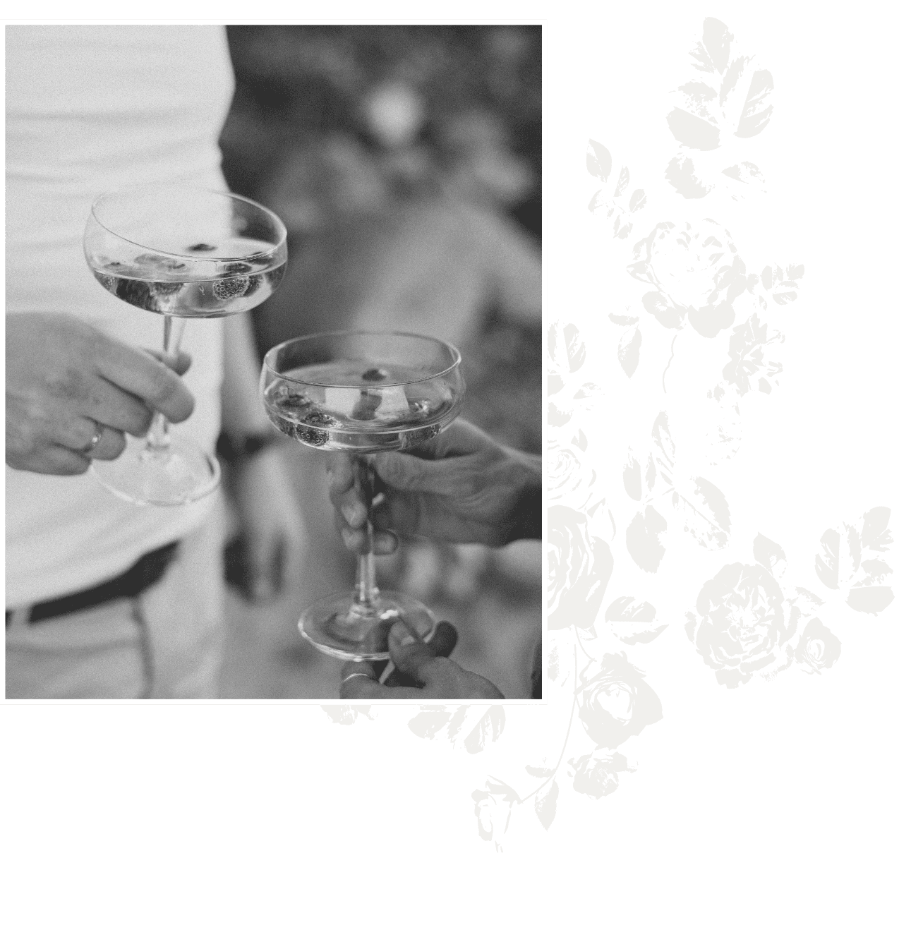 Elegant couples clinking champagne glasses at a wedding celebration in Winnipeg.