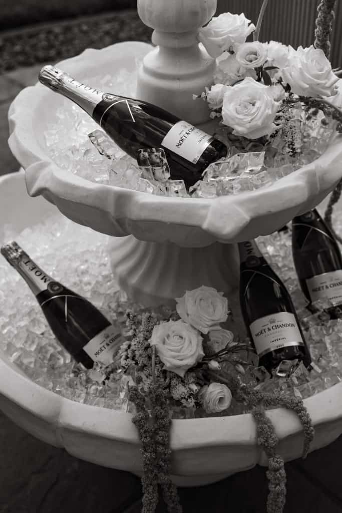 The White Poplar Winnipeg