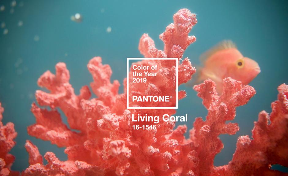 Living Coral Pantone colour of the year 2019 Melanie Parent Events