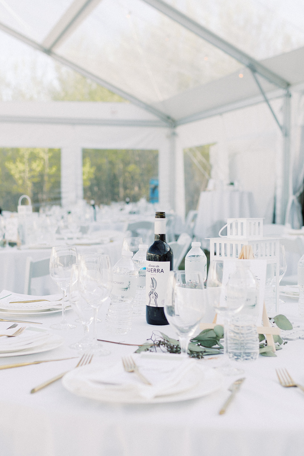 Winnipeg backyard tent wedding