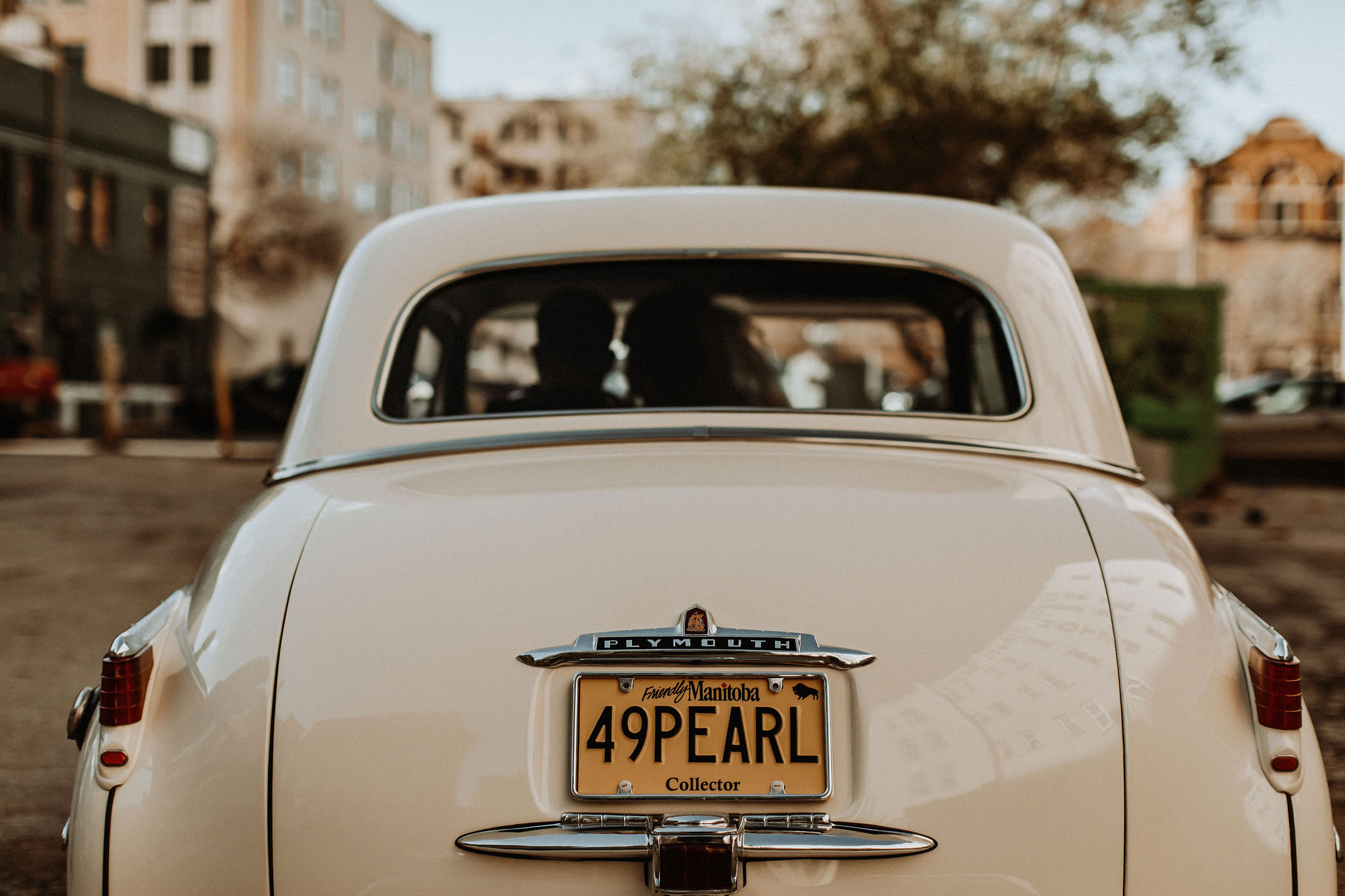 Winnipeg transportation companies