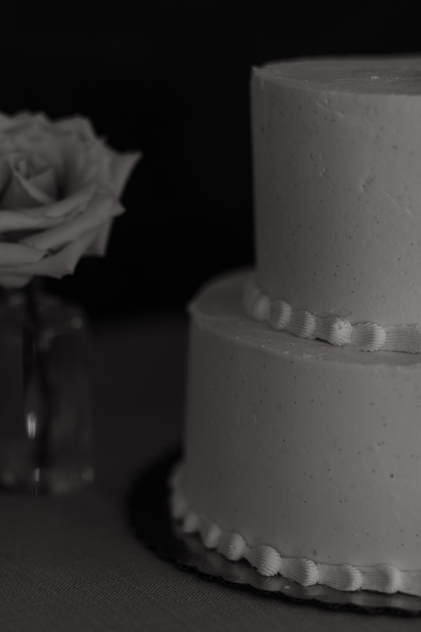 Modern Wedding at the Winnipeg Art Gallery